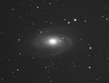 M 81