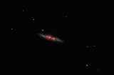 M 82