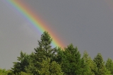 Regenbogen_01