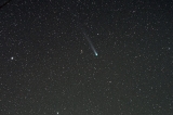 Lovejoy 2013_1