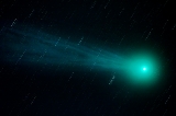 Lovejoy 2015_1