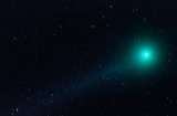 Lovejoy 2015_3