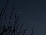 Mond_und_Venus_07