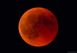 Totale Mondfinsternis_27