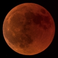 Totale Mondfinsternis_15