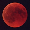 Totale Mondfinsternis_01
