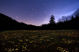 Nächtliche Landschaftsfotografie_42